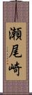 瀬尾崎 Scroll