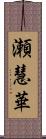 瀬慧華 Scroll