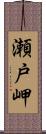 瀬戸岬 Scroll