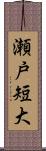 瀬戸短大 Scroll