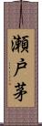 瀬戸茅 Scroll
