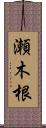 瀬木根 Scroll