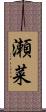 瀬菜 Scroll