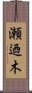 瀬迺木 Scroll