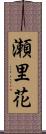 瀬里花 Scroll