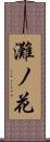 灘ノ花 Scroll