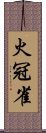 火冠雀 Scroll