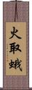 火取蛾 Scroll
