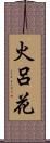 火呂花 Scroll