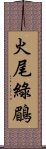 火尾綠鶥 Scroll