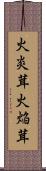 火炎茸 Scroll