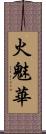 火魅華 Scroll