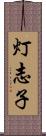 灯志子 Scroll
