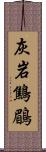 灰岩鷦鶥 Scroll