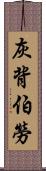 灰背伯勞 Scroll