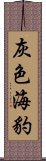 灰色海豹 Scroll