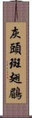 灰頭斑翅鶥 Scroll