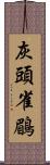 灰頭雀鶥 Scroll