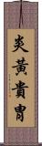 炎黃貴胄 Scroll
