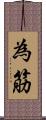 為筋 Scroll