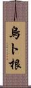 烏ト根 Scroll