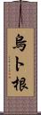 烏ト根 Scroll