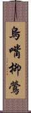 烏嘴柳鶯 Scroll