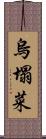 烏塌菜 Scroll