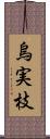 烏実枝 Scroll