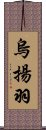 烏揚羽 Scroll