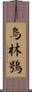 烏林鴞 Scroll