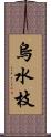 烏水枝 Scroll