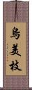 烏美枝 Scroll