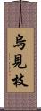 烏見枝 Scroll