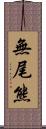 無尾熊 Scroll