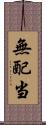 無配当 Scroll