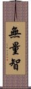 無量智 Scroll