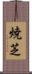 焼芝 Scroll