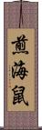 煎海鼠 Scroll