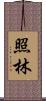 照林 Scroll