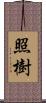照樹 Scroll