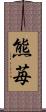 熊苺 Scroll