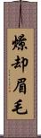 燎却眉毛 Scroll