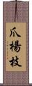 爪楊枝 Scroll