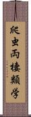 爬虫両棲類学 Scroll