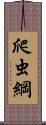 爬虫綱 Scroll