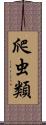 爬虫類 Scroll