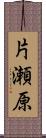 片瀬原 Scroll