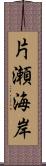 片瀬海岸 Scroll