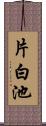 片白池 Scroll